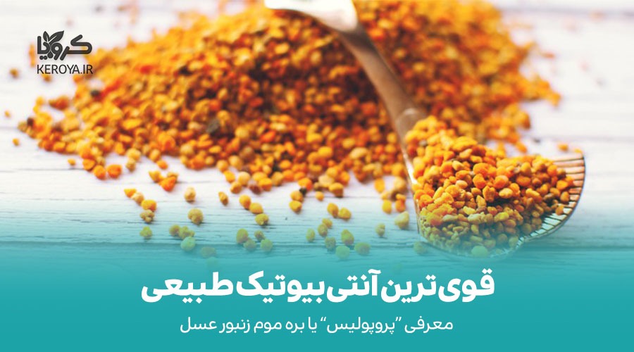 قوی ترین آنتی بیوتیک طبیعی جهان