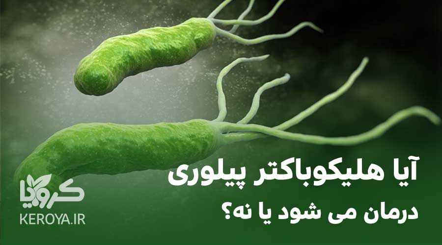 آیا هلیکوباکتر معده درمان دارد؟