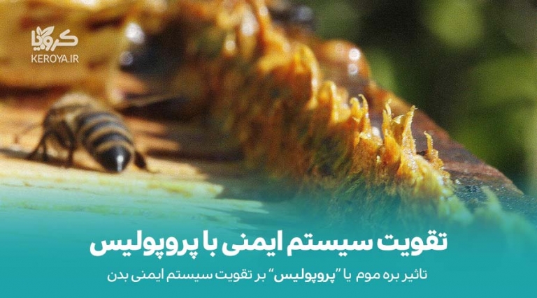 تقویت سیستم ایمنی با پروپولیس