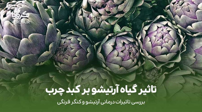 تاثیر آرتیشو بر کبد چرب