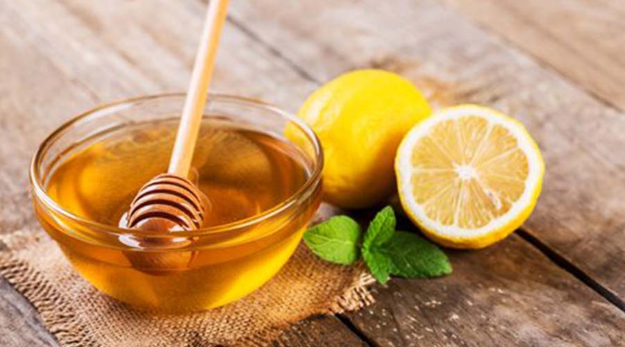 درمان گیاهی تقویت سیستم ایمنی