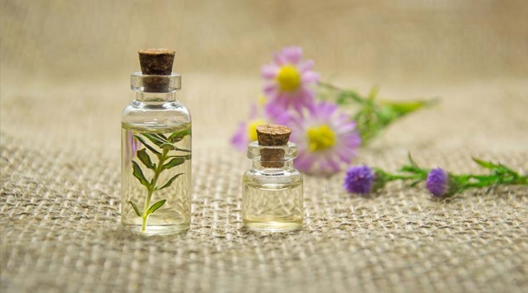 درمان گیاهی میگرن