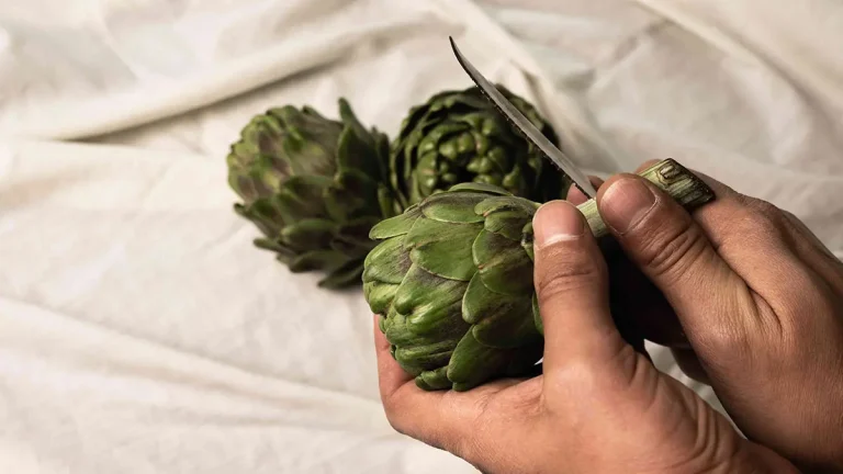 آرتیشو و کبد چرب